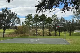 14741 Snowy Egret Street, Winter Garden, FL 34787 - Photo 29