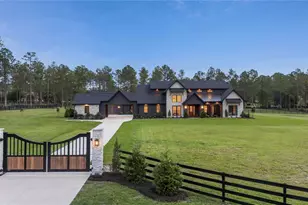 23741 Ridge Link Rd, Eustis, FL 32736 - Photo 53