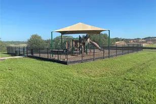 123 Green Branch Blvd, Groveland, FL 34736 - Photo 29