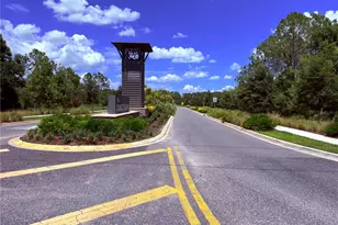 16420 Winding Preserve Cir, Clermont, FL 34714 - Photo 41