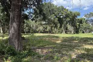 620 Cochran Rd, Geneva, FL 32732 - Photo 1