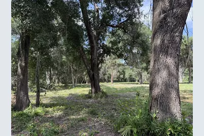 620 Cochran Road, Geneva, FL 32732 - Photo 3