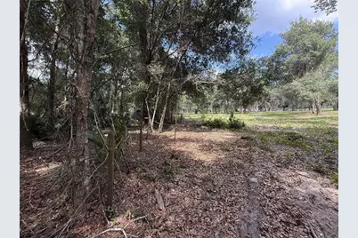 620 Cochran Road, Geneva, FL 32732 - Photo 5