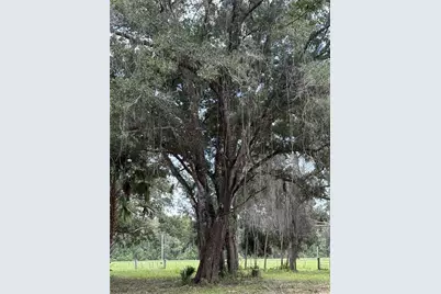 620 Cochran Road, Geneva, FL 32732 - Photo 9