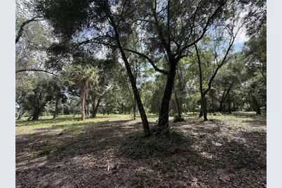 620 Cochran Road, Geneva, FL 32732 - Photo 7