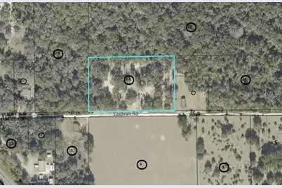 620 Cochran Road, Geneva, FL 32732 - Photo 11