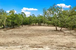 Tbd SW 125 Terrace, Dunnellon, FL 34432 - Photo 5