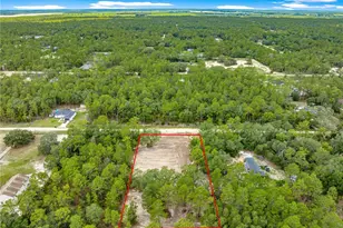 Tbd SW 125 Terrace, Dunnellon, FL 34432 - Photo 9
