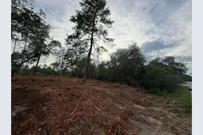 Sequoia Trail, Ocklawaha, FL 32179 - Photo 3