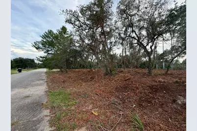 Sequoia Trail, Ocklawaha, FL 32179 - Photo 5