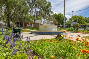 367 August Fern Loop, Mount Dora, FL 32757 - Photo 61