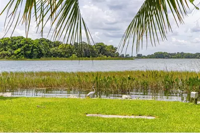 367 August Fern Loop, Mount Dora, FL 32757 - Photo 69