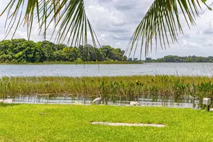 367 August Fern Loop, Mount Dora, FL 32757 - Photo 69