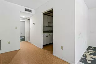4335 Aegean Dr, Tampa, FL 33611 - Photo 9
