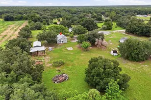 1518 Dickens Rd, Lake Wales, FL 33898 - Photo 45