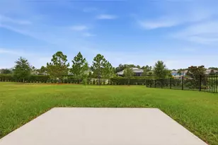 5215 Tanzanite Dr, Mount Dora, FL 32757 - Photo 59