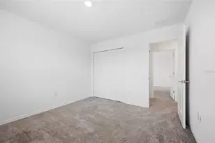 5215 Tanzanite Dr, Mount Dora, FL 32757 - Photo 57