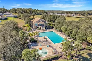 5215 Tanzanite Dr, Mount Dora, FL 32757 - Photo 63
