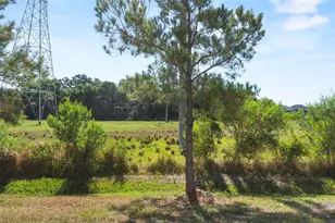 7046 Grand Elm Dr, Riverview, FL 33578 - Photo 17