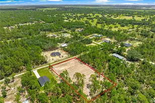 Tbd SW 90 Pl, Dunnellon, FL 34432 - Photo 7