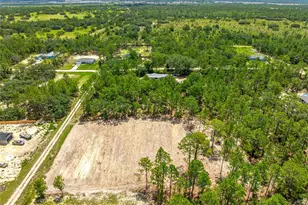 Tbd SW 90 Pl, Dunnellon, FL 34432 - Photo 9