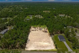 Tbd SW 90 Pl, Dunnellon, FL 34432 - Photo 5