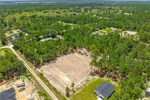 Tbd SW 90 Pl, Dunnellon, FL 34432 - Photo 7