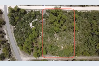 346 Blue Moon Ave, Lake Placid, FL 33852 - Photo 1