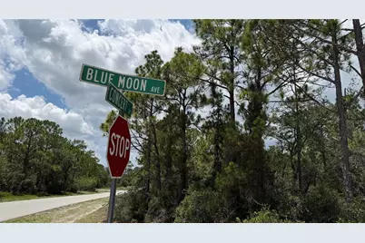 346 Blue Moon Ave, Lake Placid, FL 33852 - Photo 7