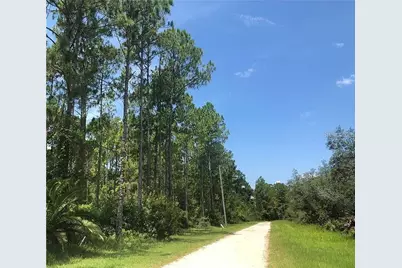 0 Thacker Trail, Kissimmee, FL 34747 - Photo 1