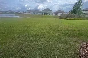 11232 Cay Spruce Wy, San Antonio, FL 33576 - Photo 19