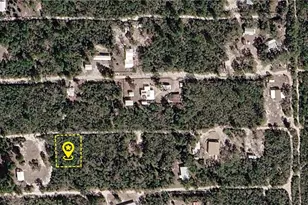 X NE 234th Ln, Fort Mc Coy, FL 32134 - Photo 1