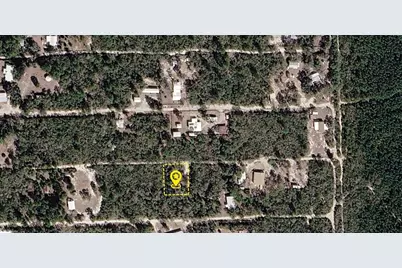 Xxx NE 234th Lane, Fort Mc Coy, FL 32134 - Photo 1