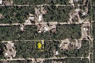 Xxx NE 234th Ln, Fort Mc Coy, FL 32134 - Photo 1