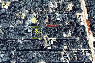 X NE 192nd St, Fort Mc Coy, FL 32134 - Photo 1