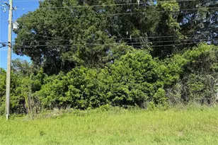 SE 35th Ct, Summerfield, FL 34491 - Photo 1