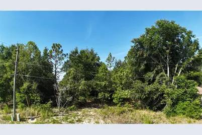 Bahia Court Track, Ocala, FL 34472 - Photo 3