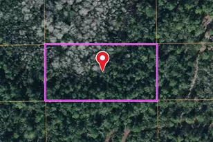 Dill Rd, Orlando, FL 32820 - Photo 1