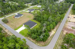 8065 N Dothan Dr, Dunnellon, FL 34433 - Photo 9