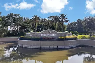 4841 Havilland Dr, Mount Dora, FL 32757 - Photo 51