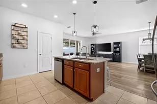 4841 Havilland Dr, Mount Dora, FL 32757 - Photo 7