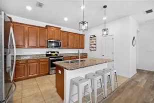 4841 Havilland Dr, Mount Dora, FL 32757 - Photo 5