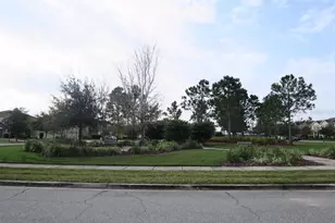 12029 Citruswood Dr, Orlando, FL 32832 - Photo 23
