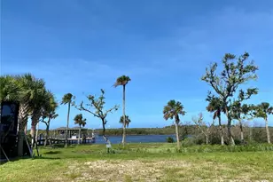 46 Coronado Rd, Flagler Beach, FL 32136 - Photo 1