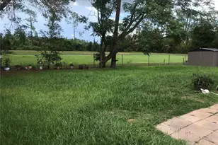9241 Toby Ln, Orlando, FL 32817 - Photo 7