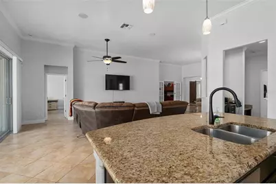 30115 Kladruby Point, Mount Dora, FL 32757 - Photo 13