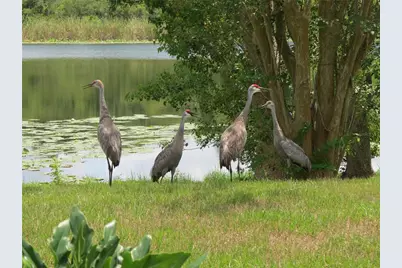 1224 Lake Blue Circle, Apopka, FL 32703 - Photo 37