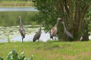 1224 Lake Blue Cir, Apopka, FL 32703 - Photo 37