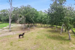 2370 Pine Meadows Pl, Oviedo, FL 32766 - Photo 45