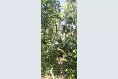 2700 Junction Road, Zellwood, FL 32798 - Photo 41